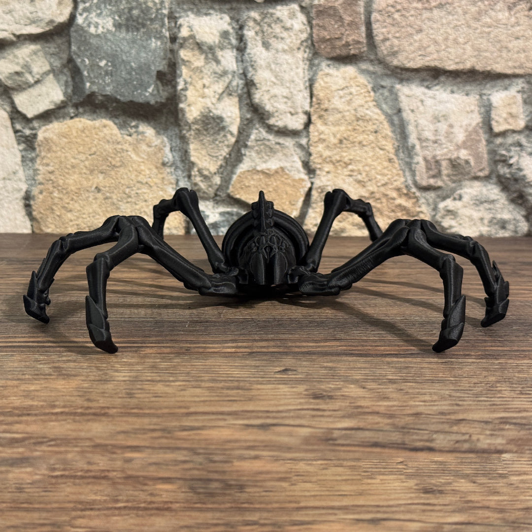 Skelett Spinne