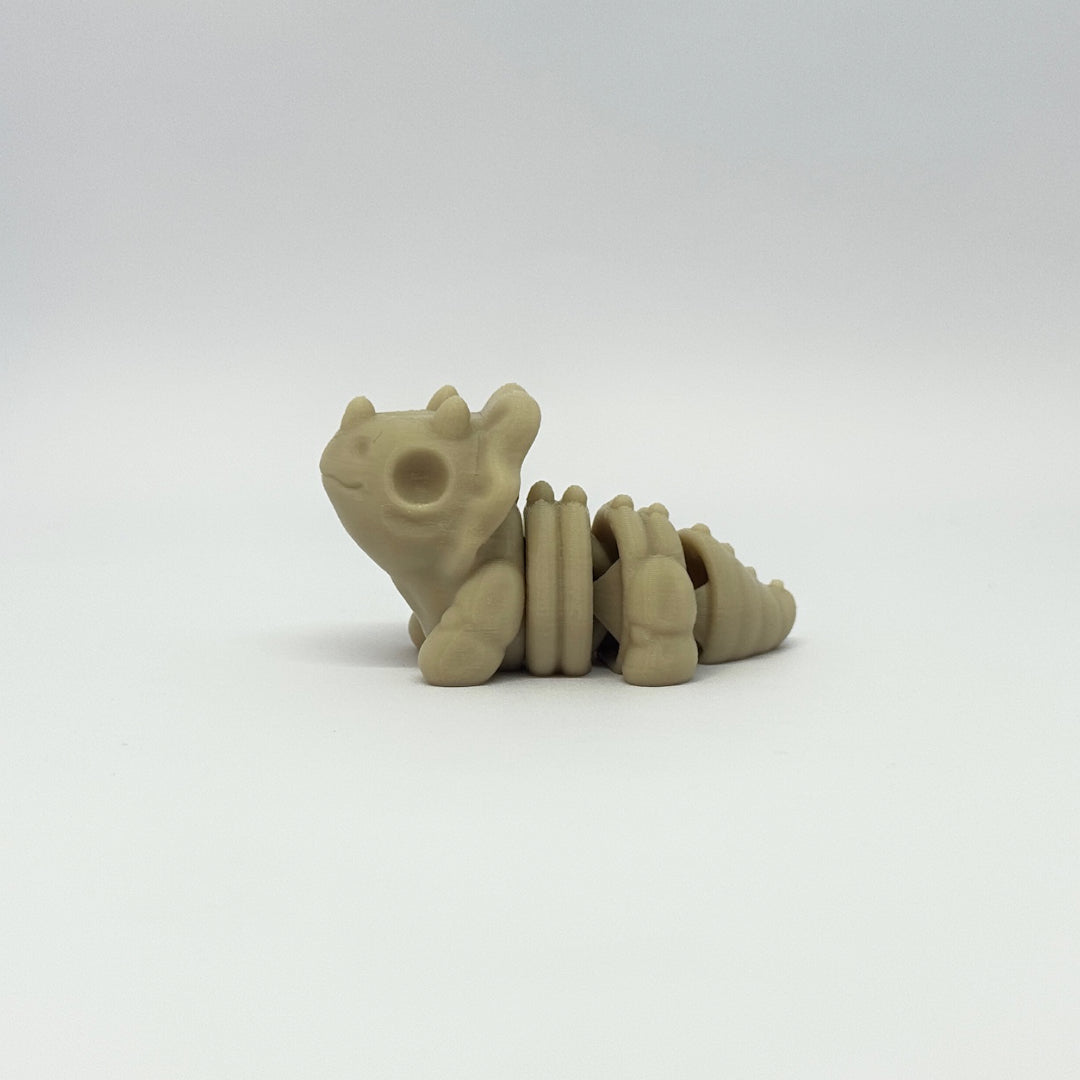 Baby Triceratops Skeleton