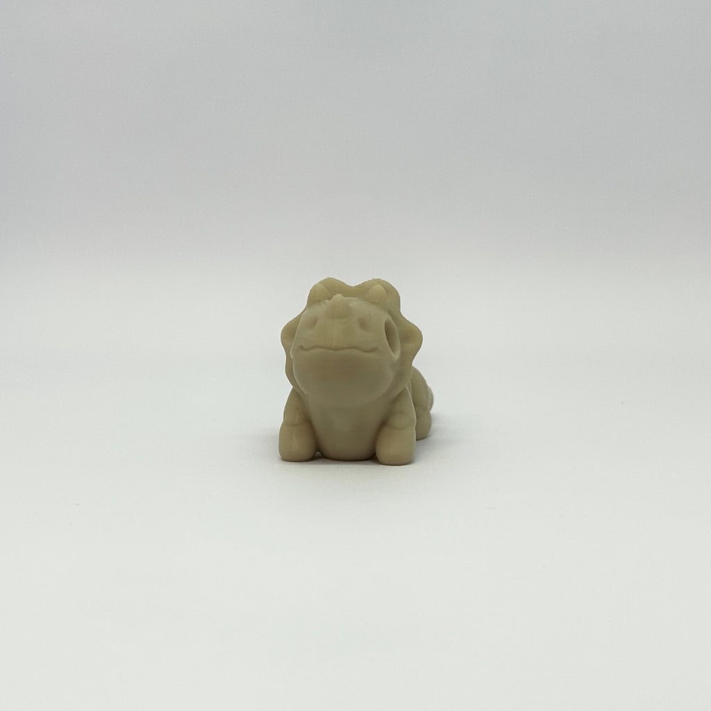 Baby Triceratops Skeleton