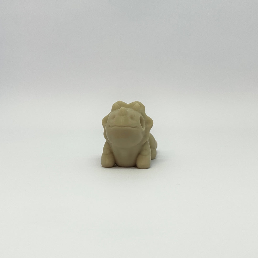 Baby Triceratops Skeleton