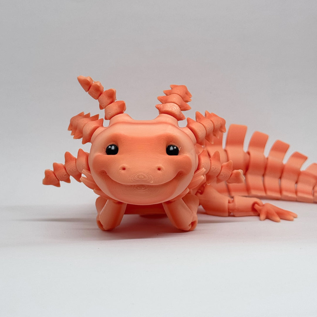 Axolotl