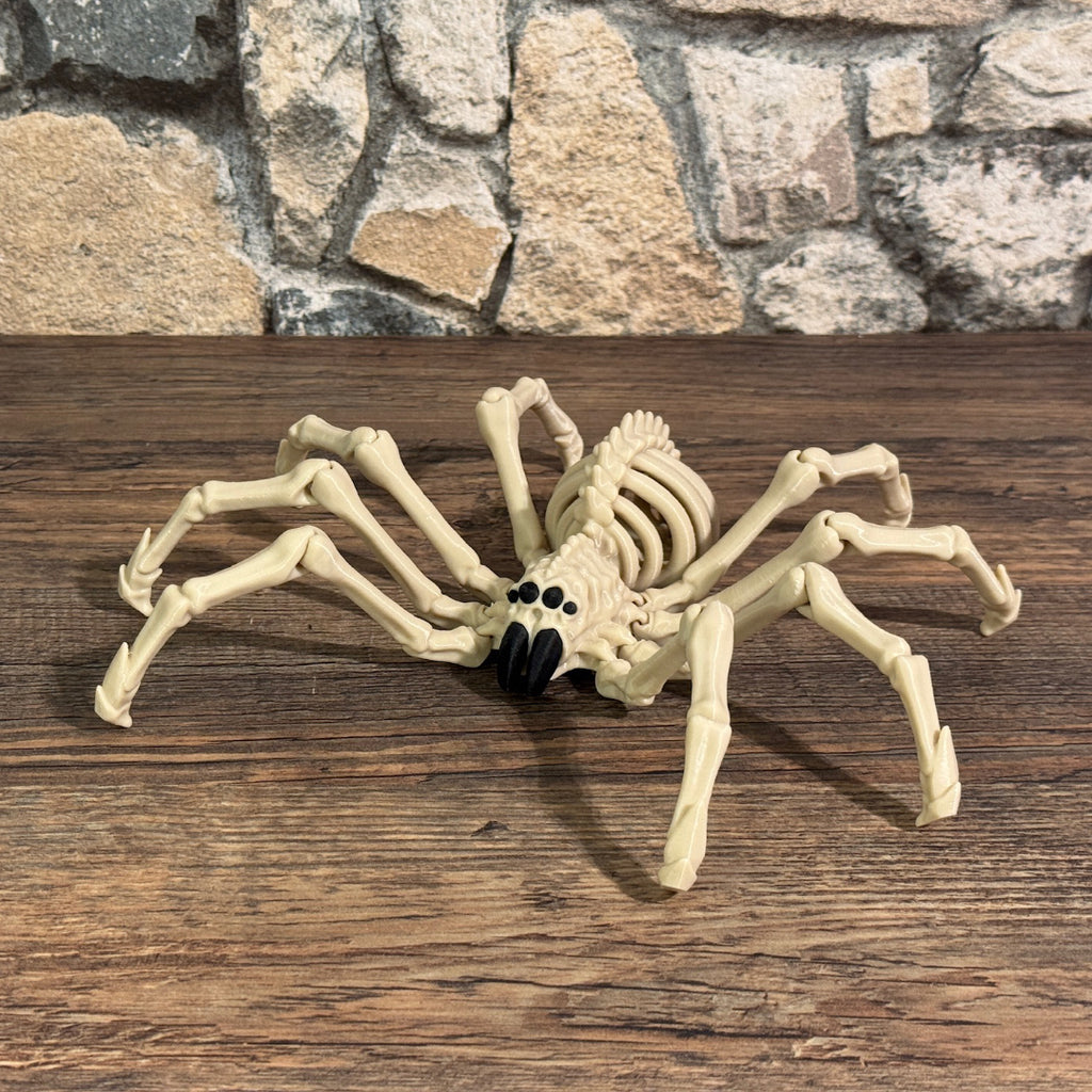 Skelett Spinne