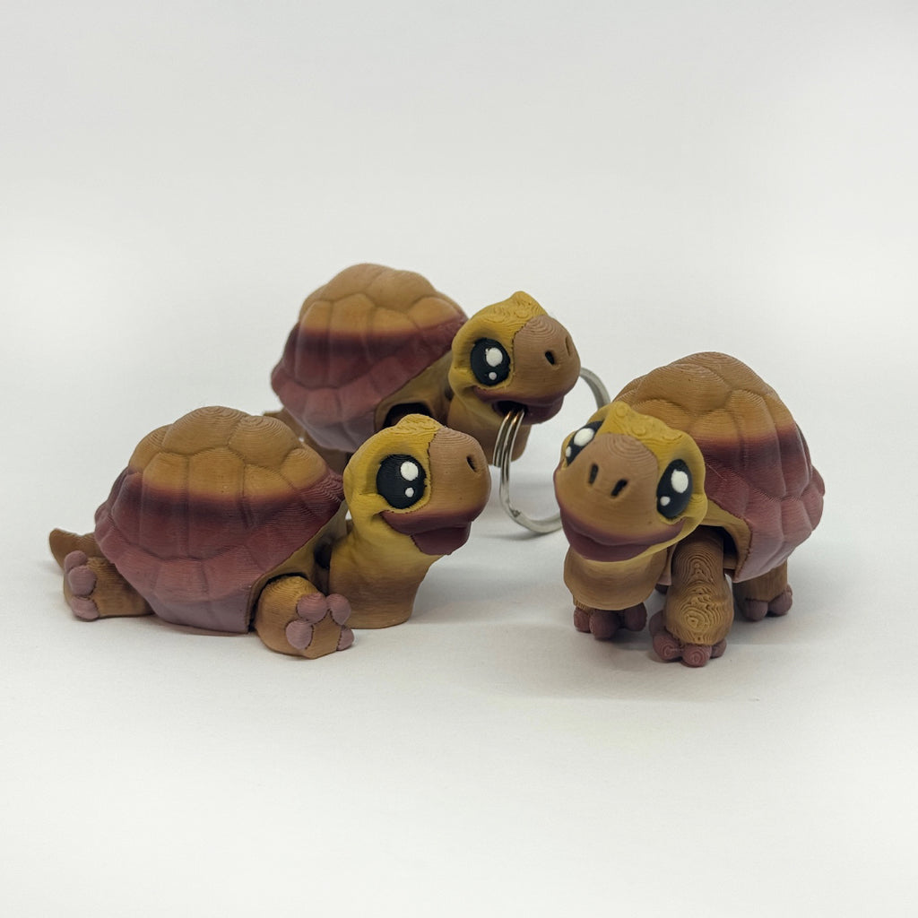 Kleine Schildkröte