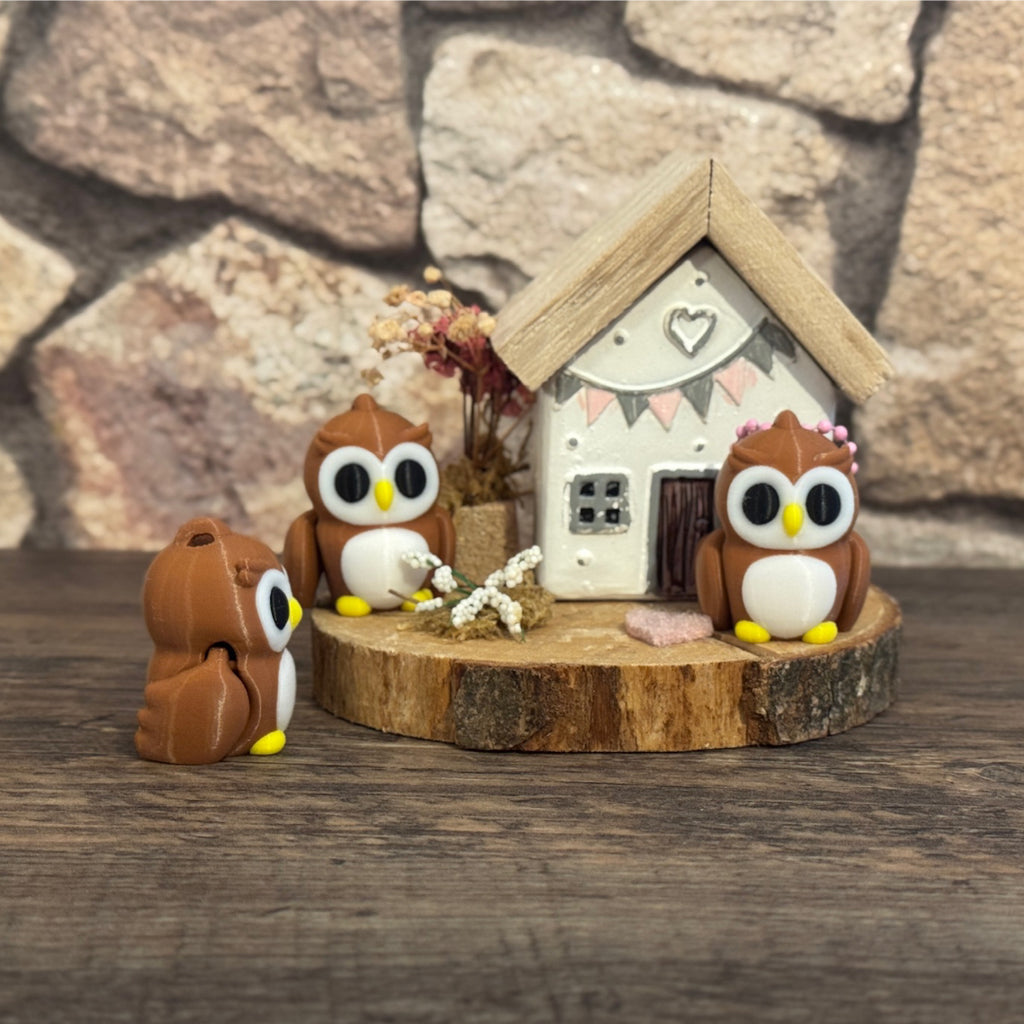 Baby Owl - Baby Eule
