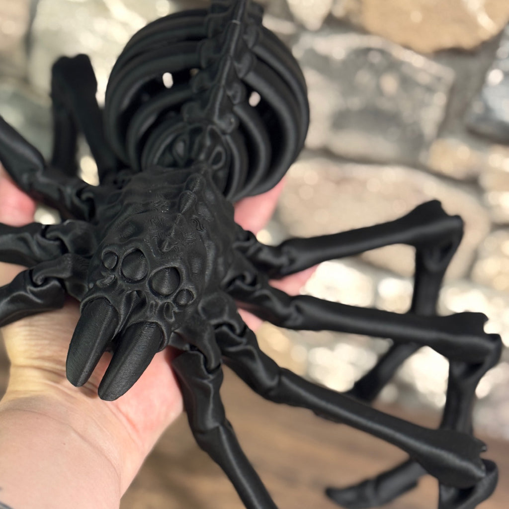 Skelett Spinne