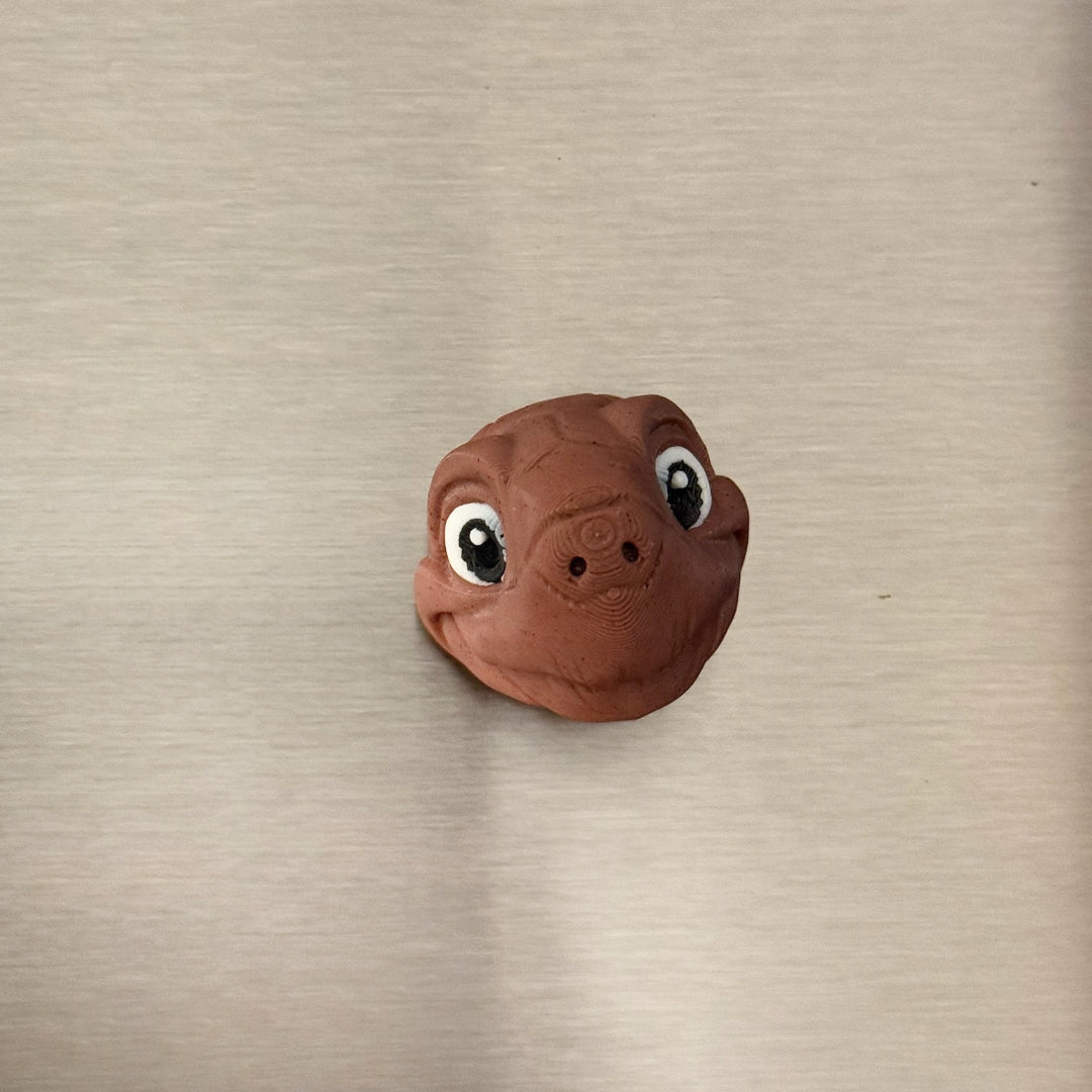 Schildkröten-Kopf