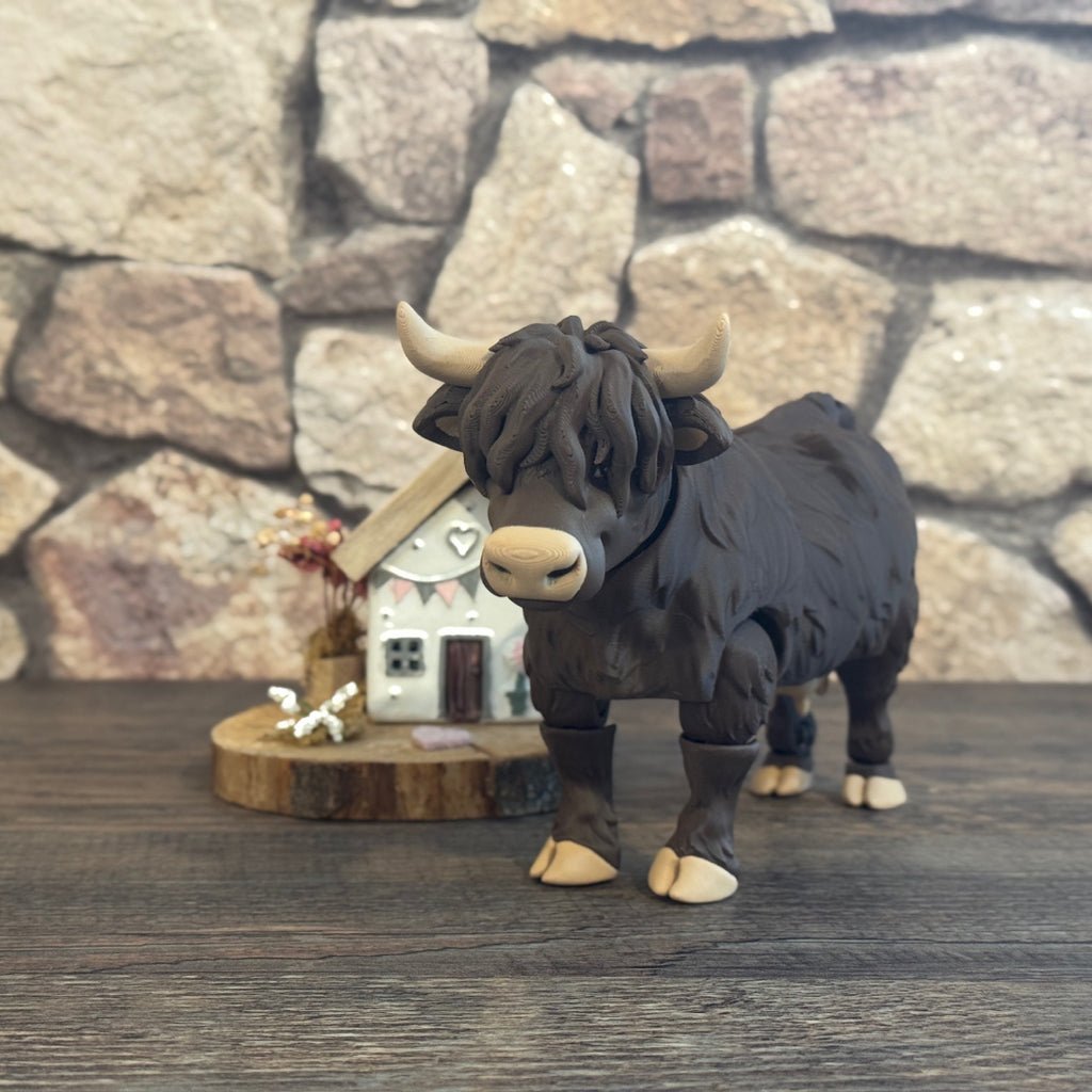 Highland Cow
