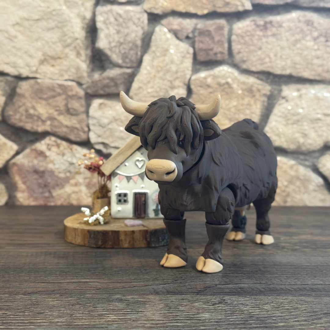 Highland Cow