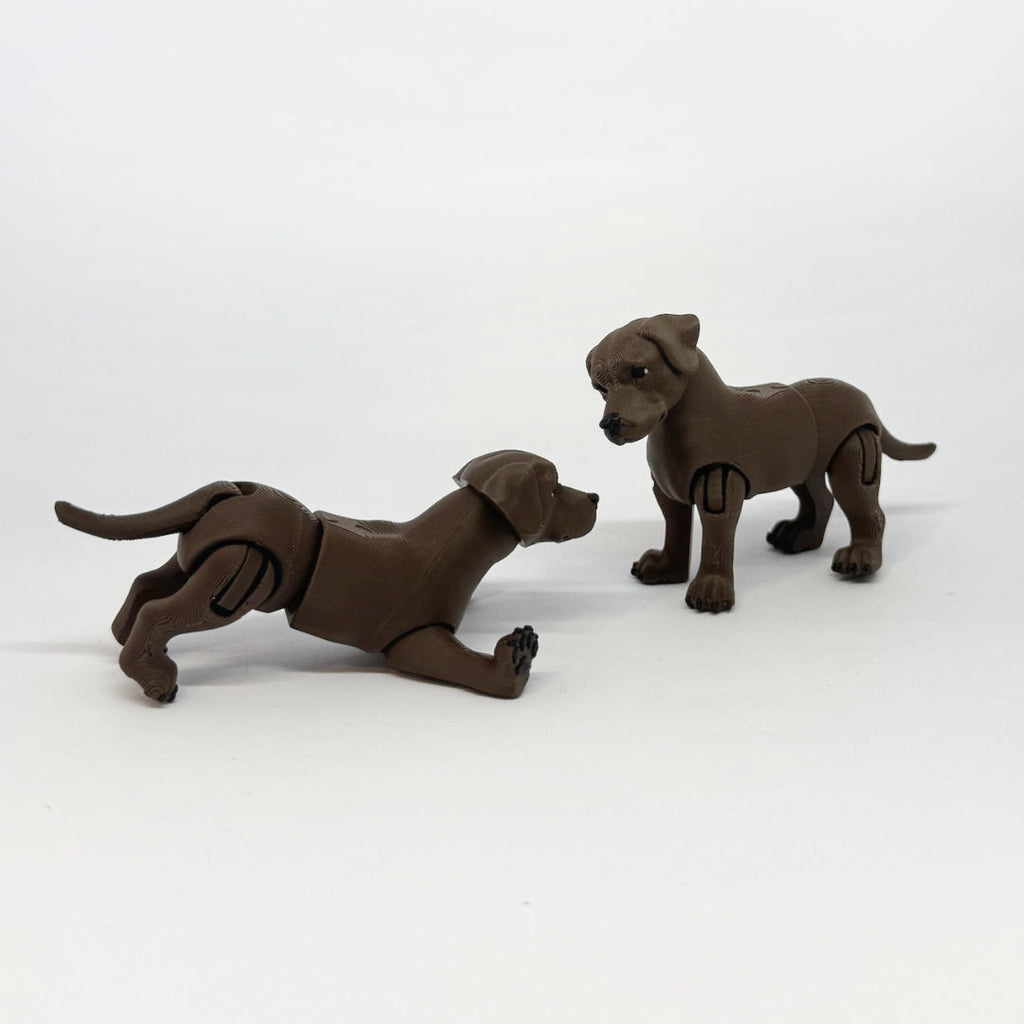 Labrador
