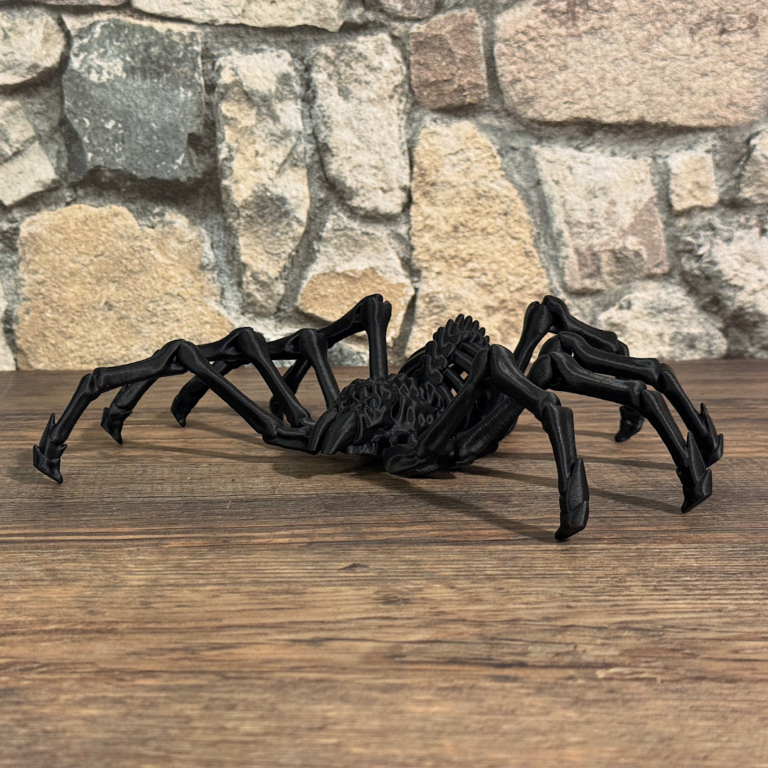 Skelett Spinne