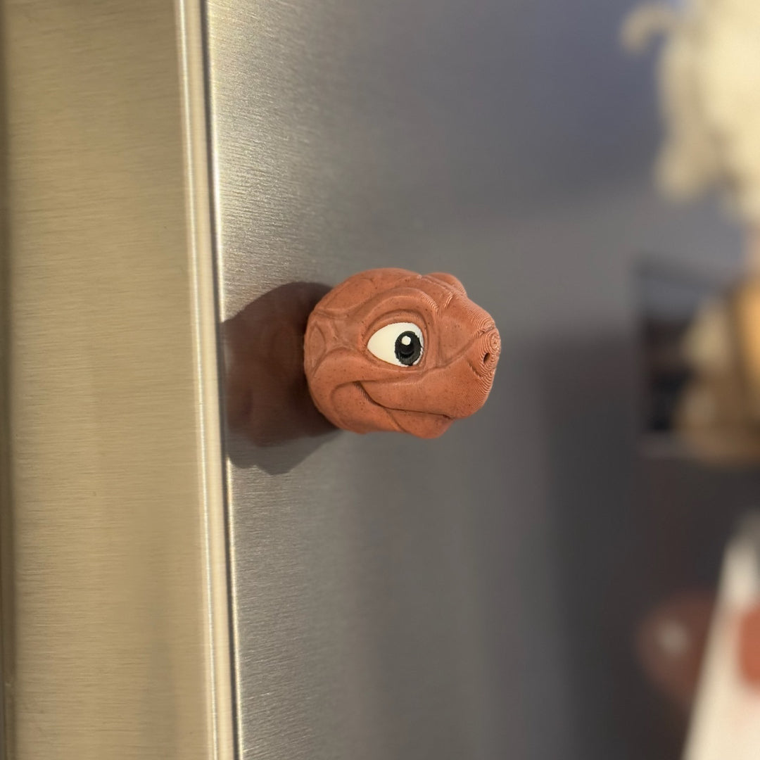 Schildkröten-Kopf