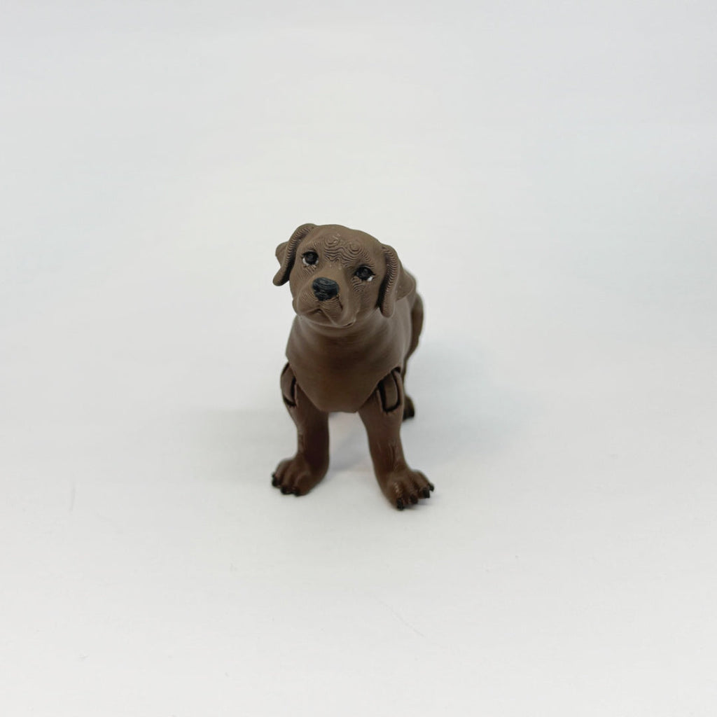 Labrador