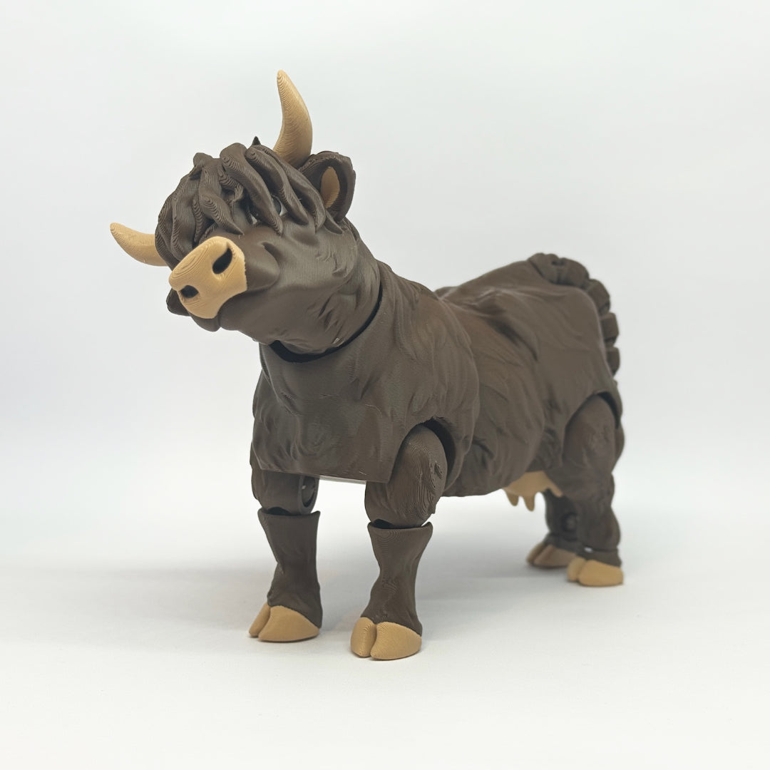 Highland Cow