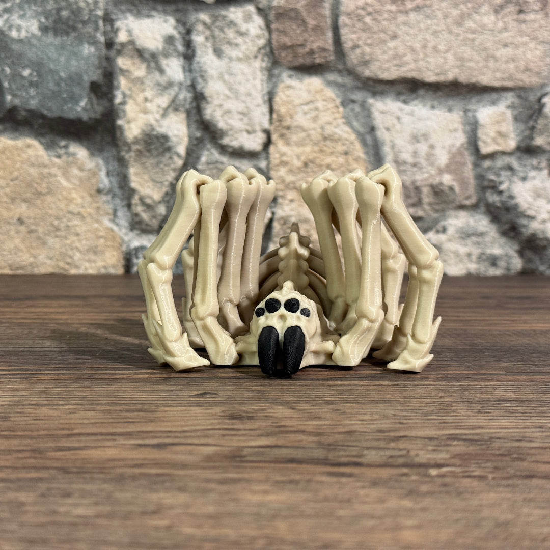 Skelett Spinne