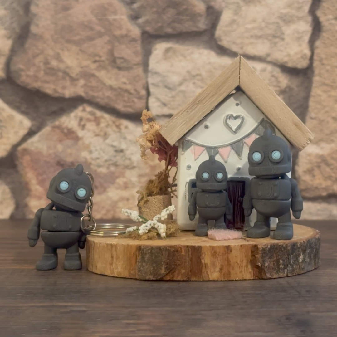 Mini Robot