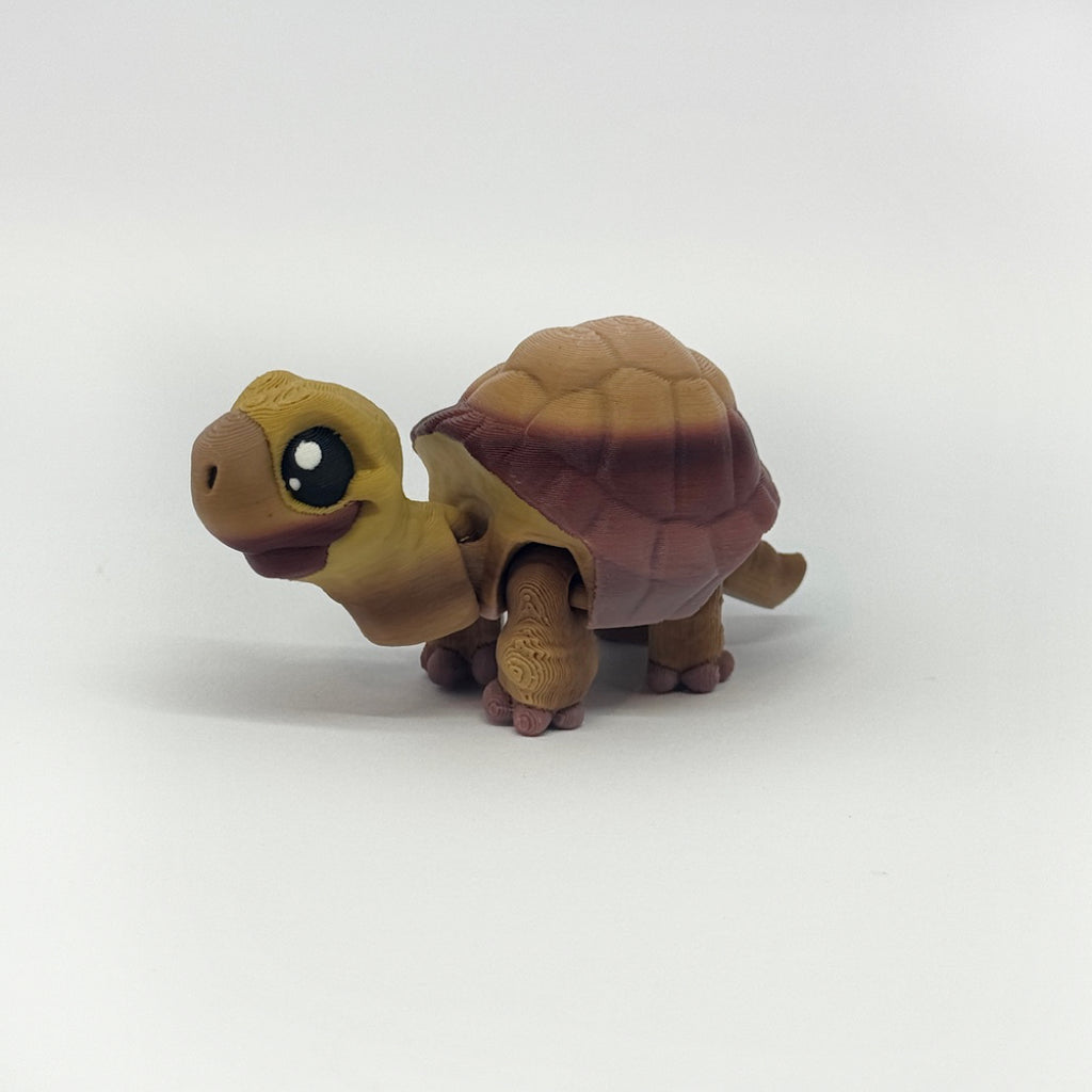 Kleine Schildkröte