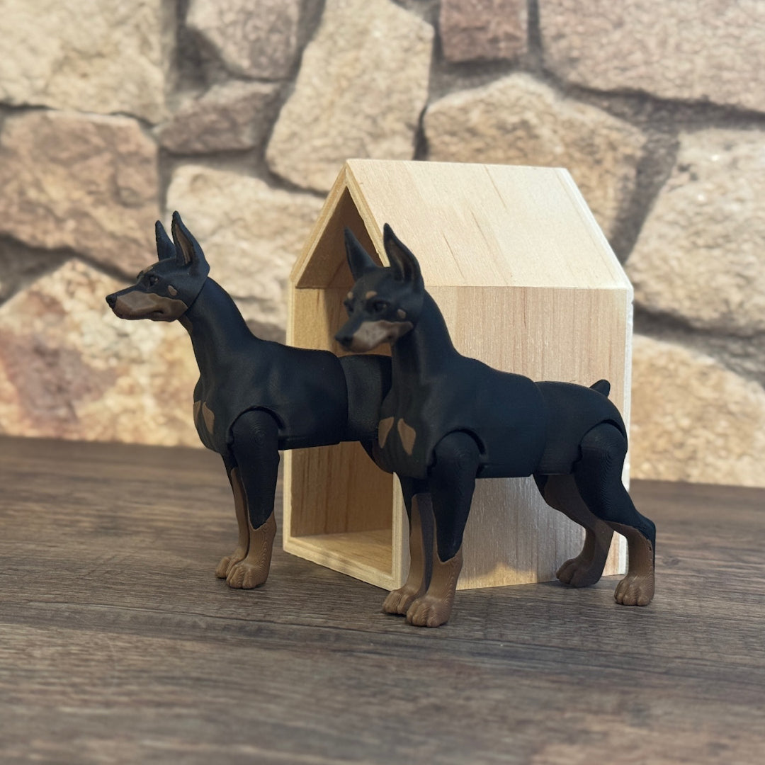 Dobermann
