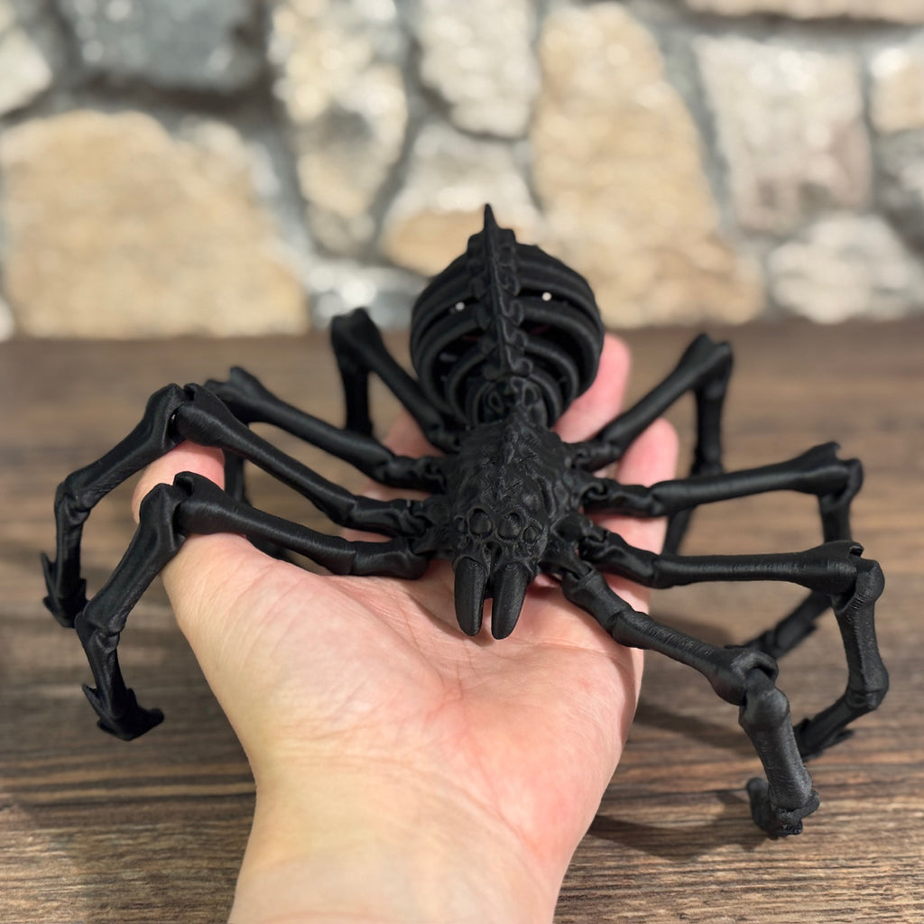 Skelett Spinne