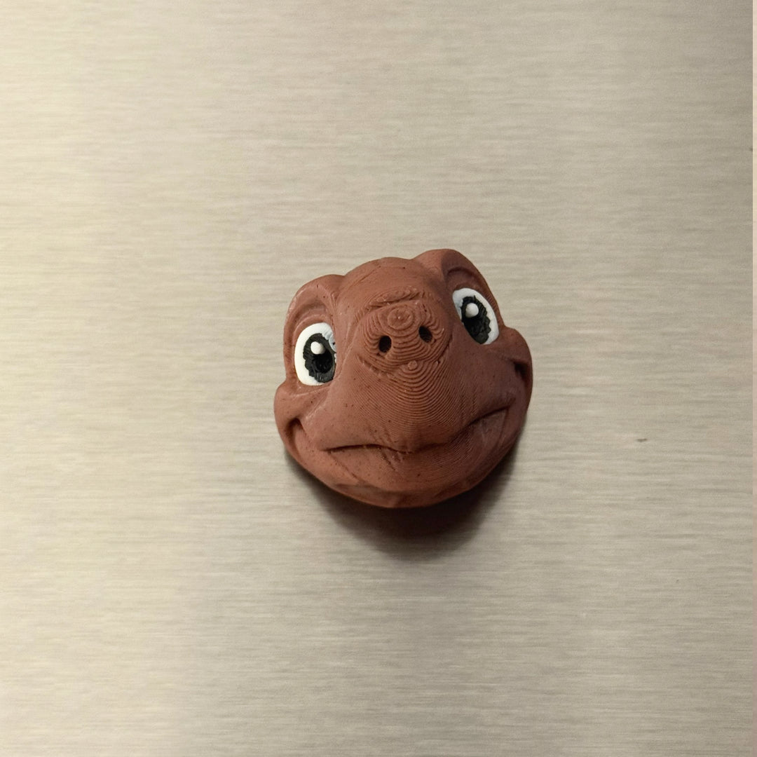 Schildkröten-Kopf