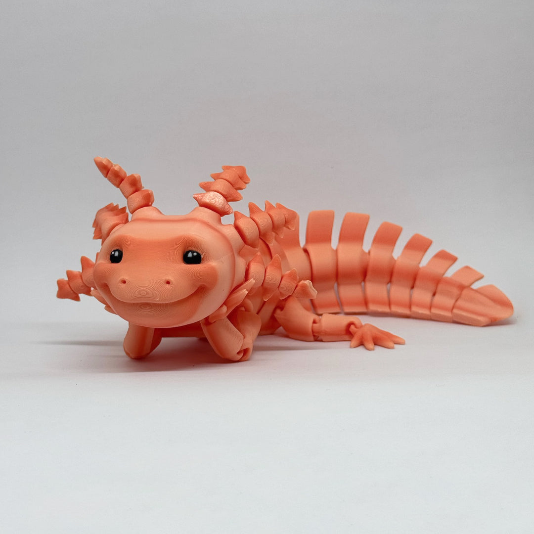 Axolotl