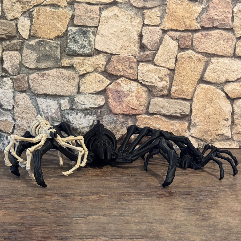 Skelett Spinne