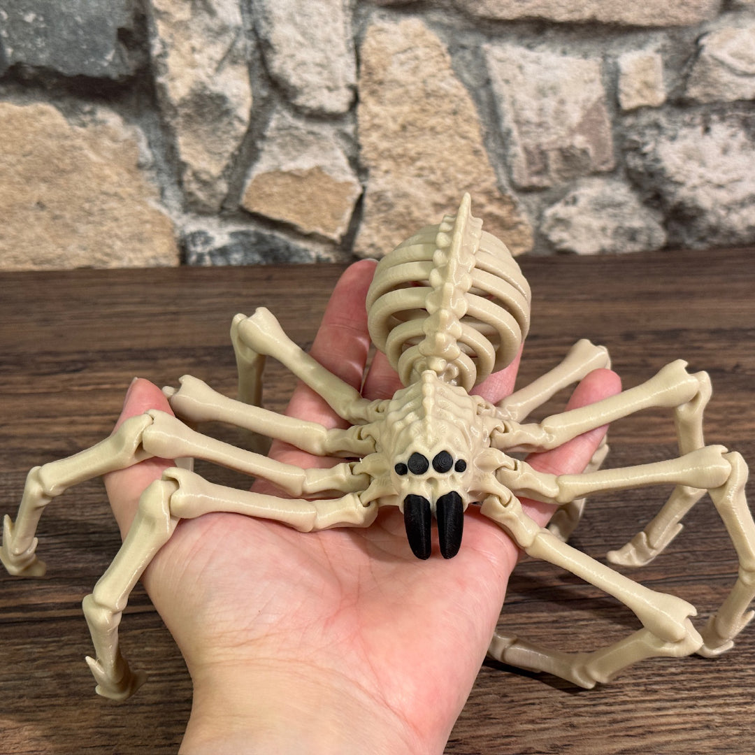 Skelett Spinne