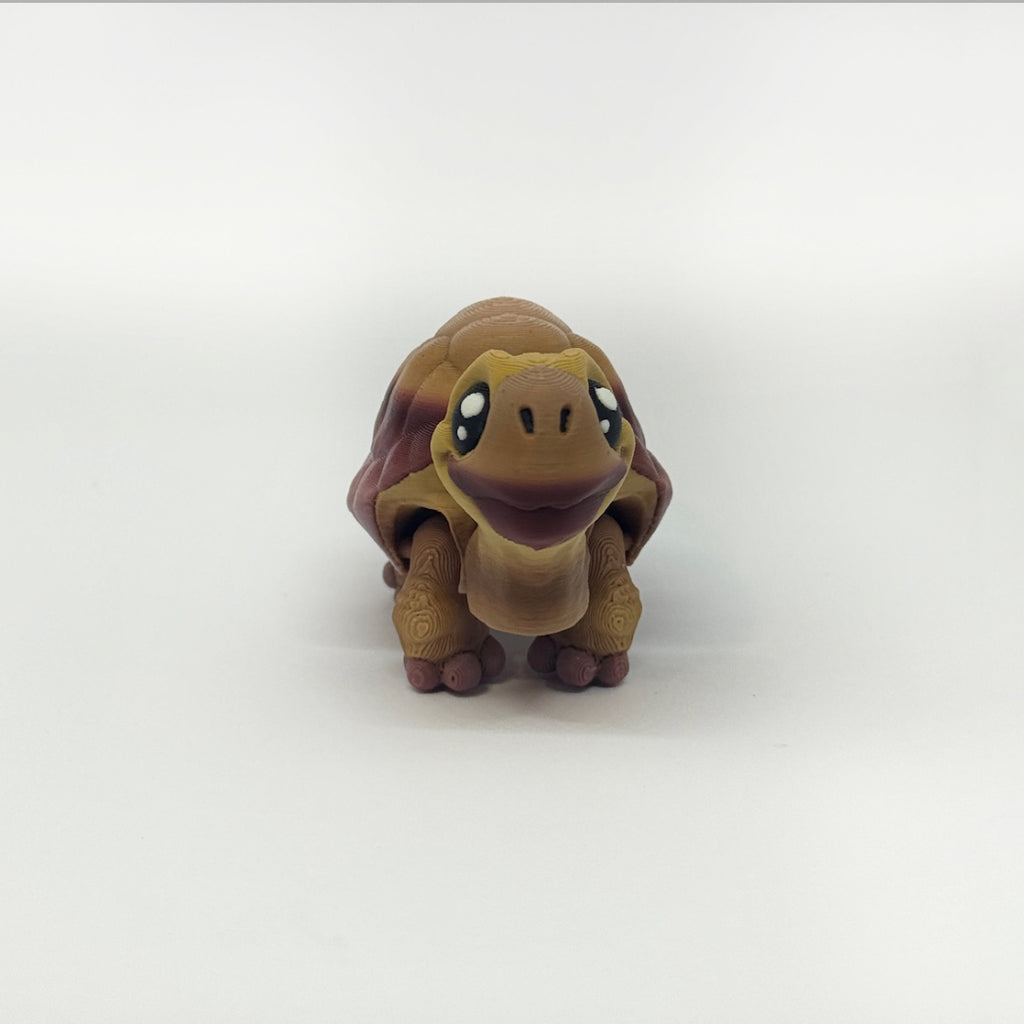 Kleine Schildkröte