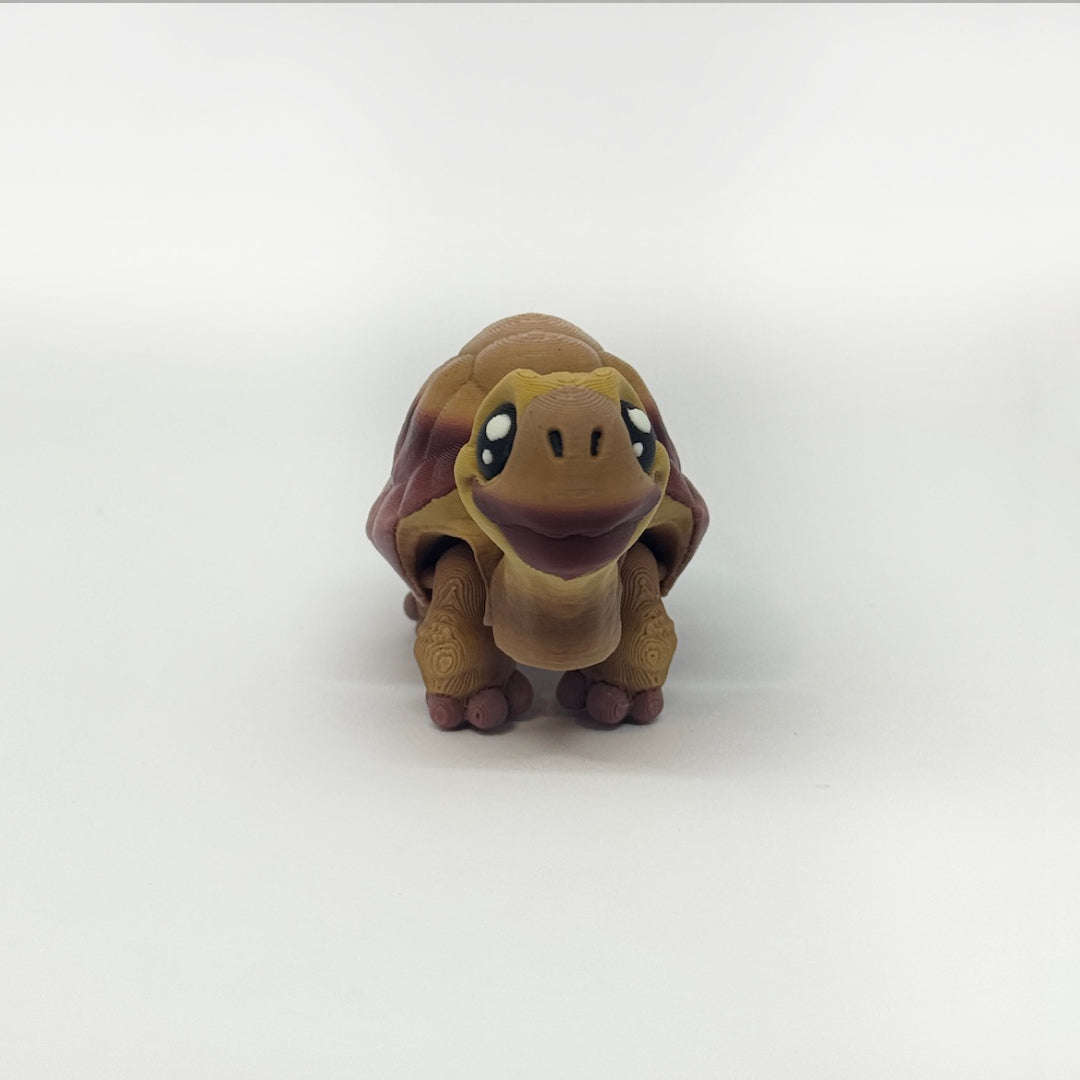 Kleine Schildkröte