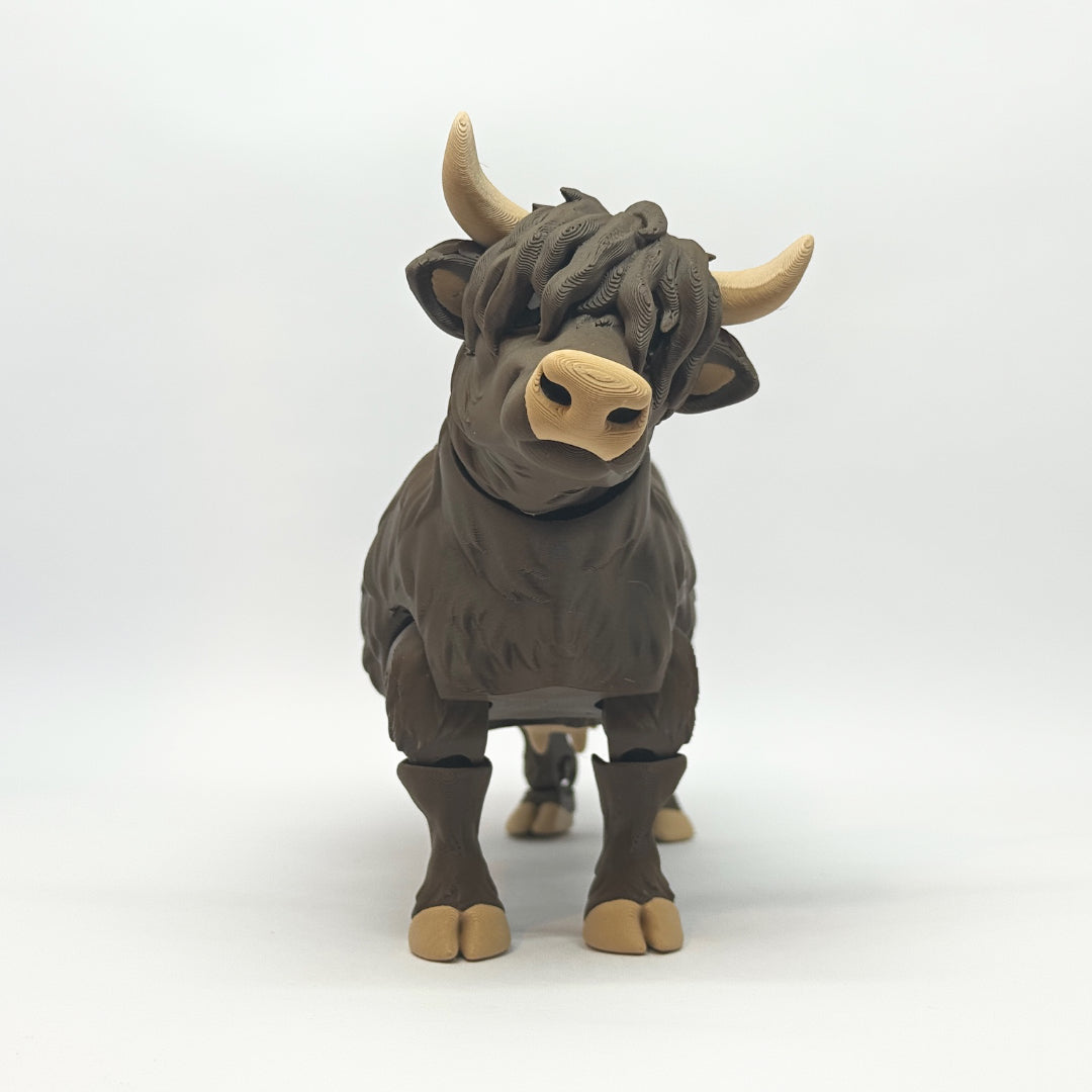 Highland Cow