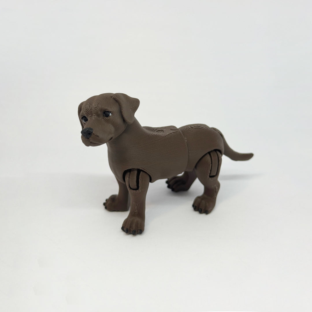 Labrador
