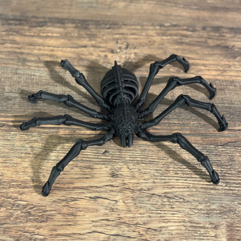 Skelett Spinne