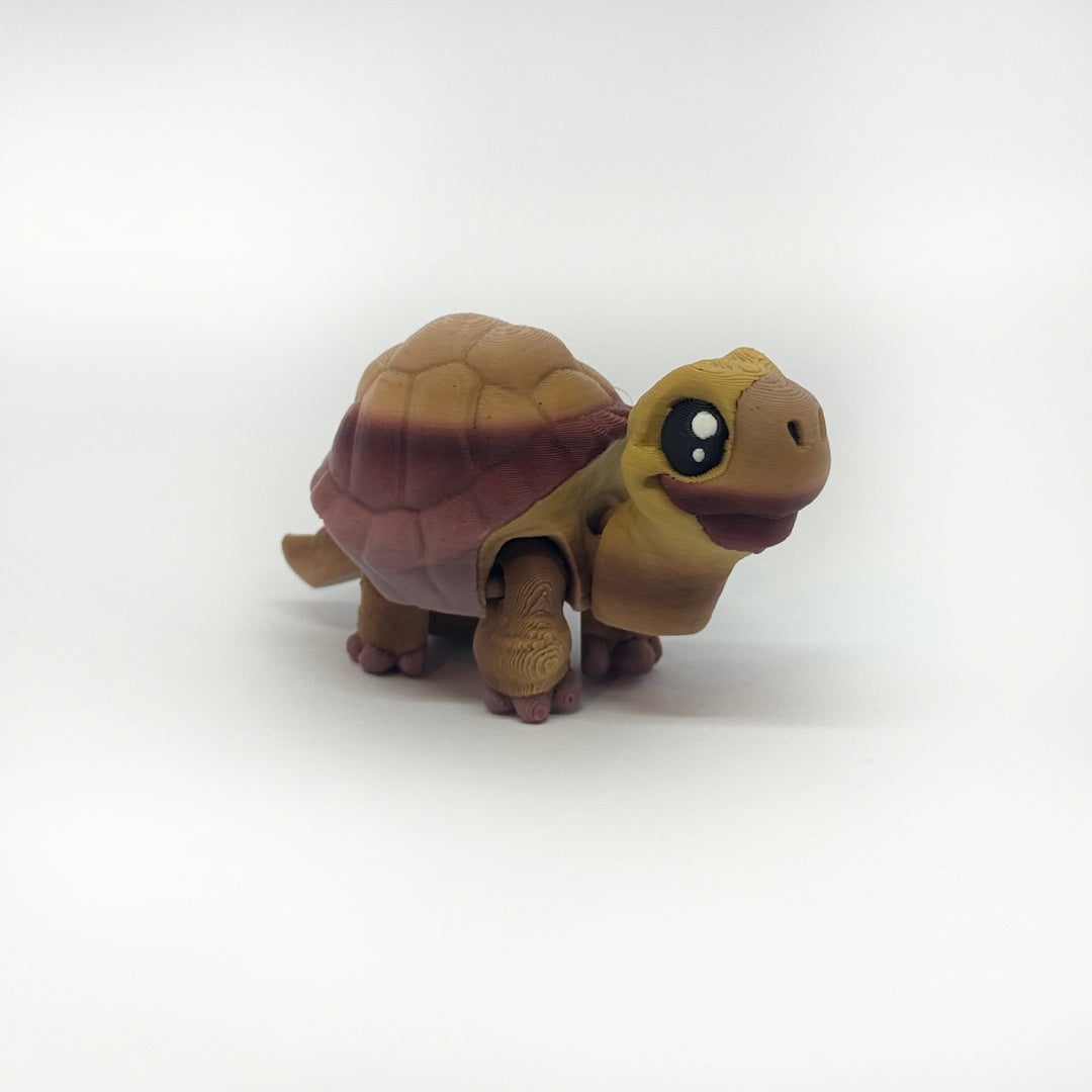 Kleine Schildkröte