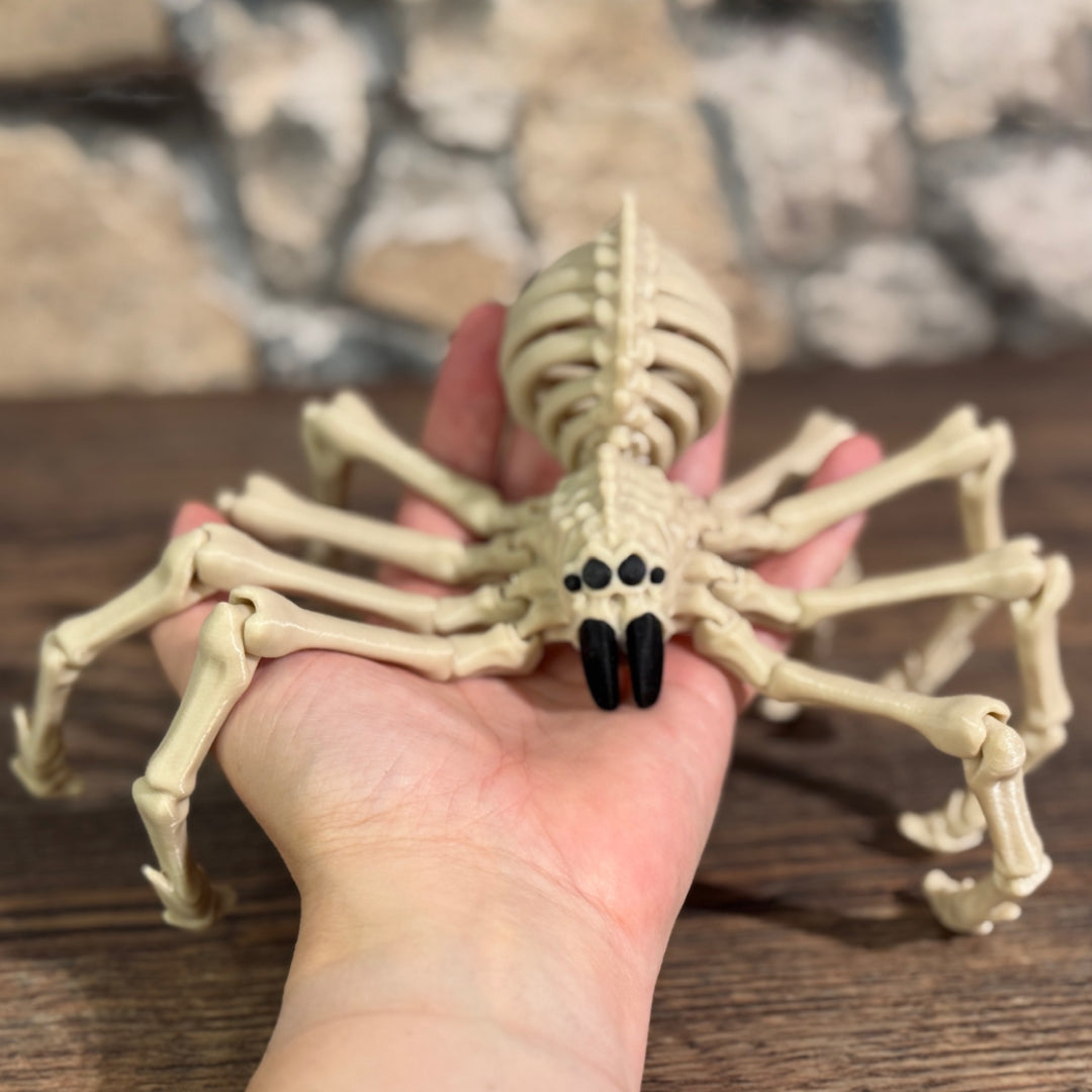 Skelett Spinne