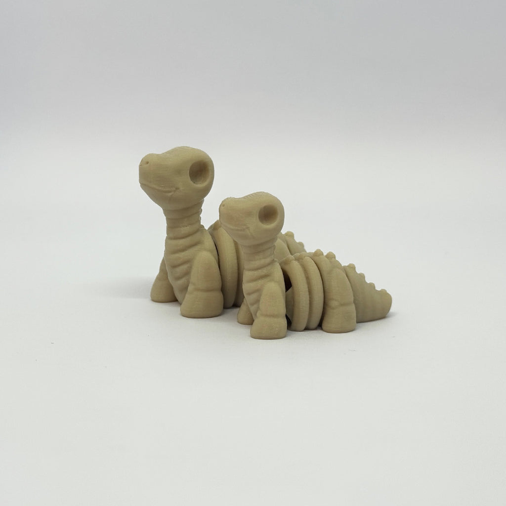 Baby Brontosaurus Skeleton
