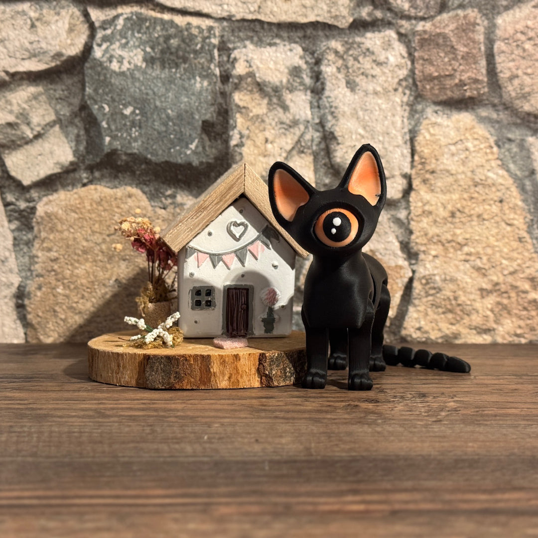 Kiki the Cat