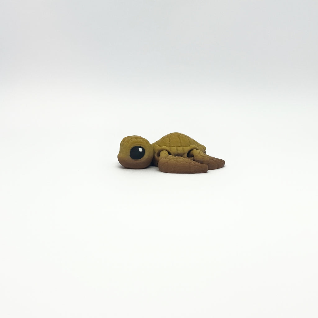 Mini Turtle