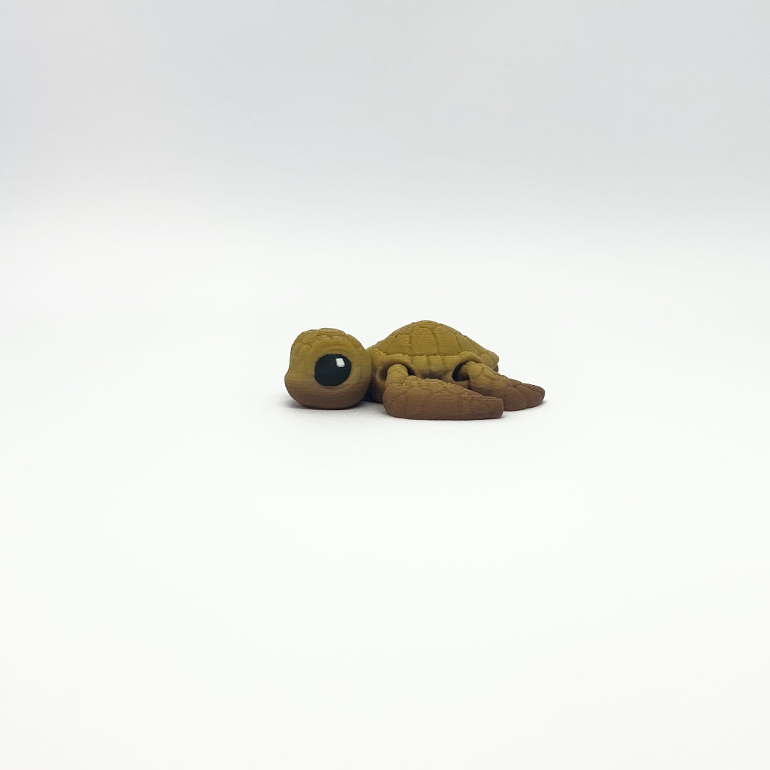 Mini Turtle