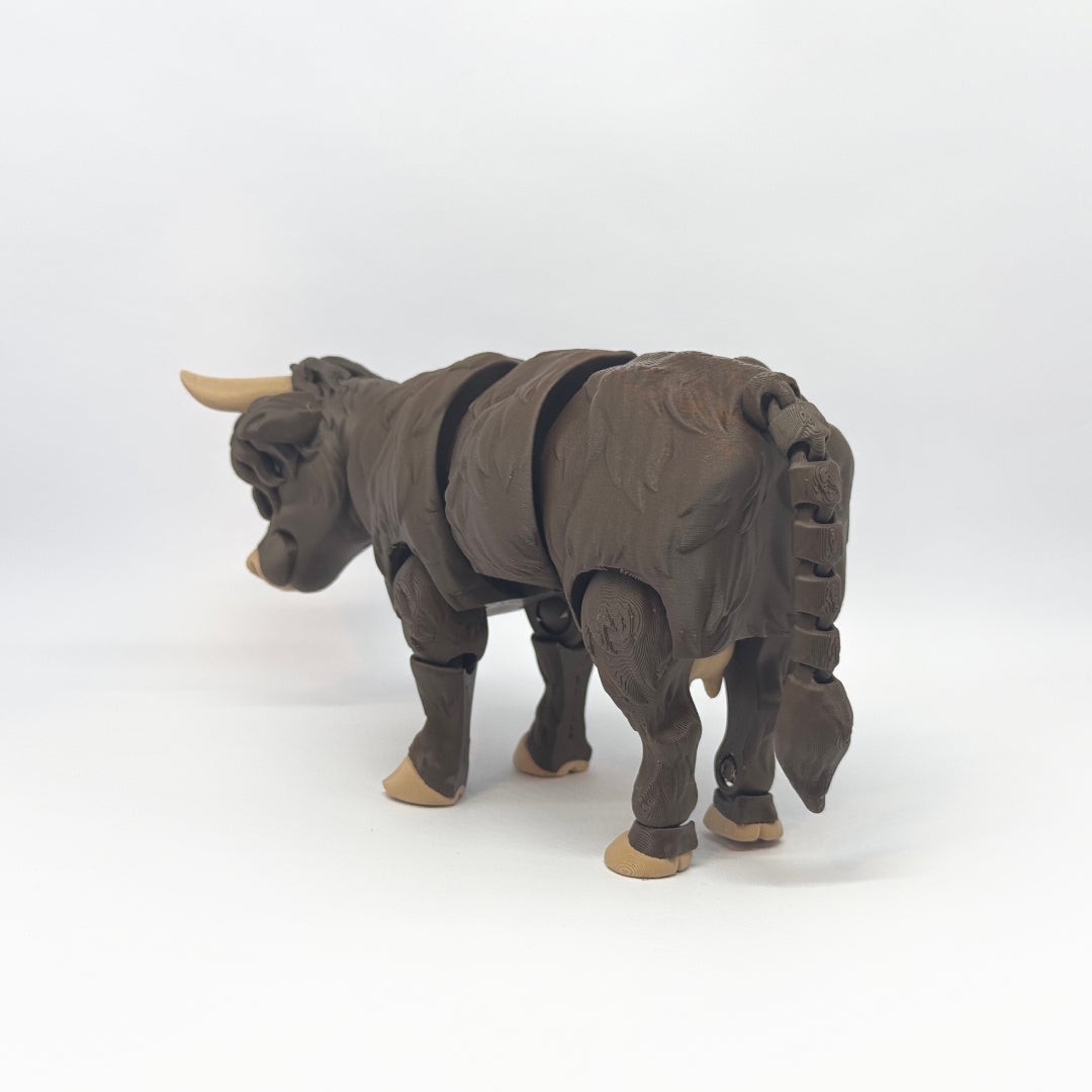 Highland Cow