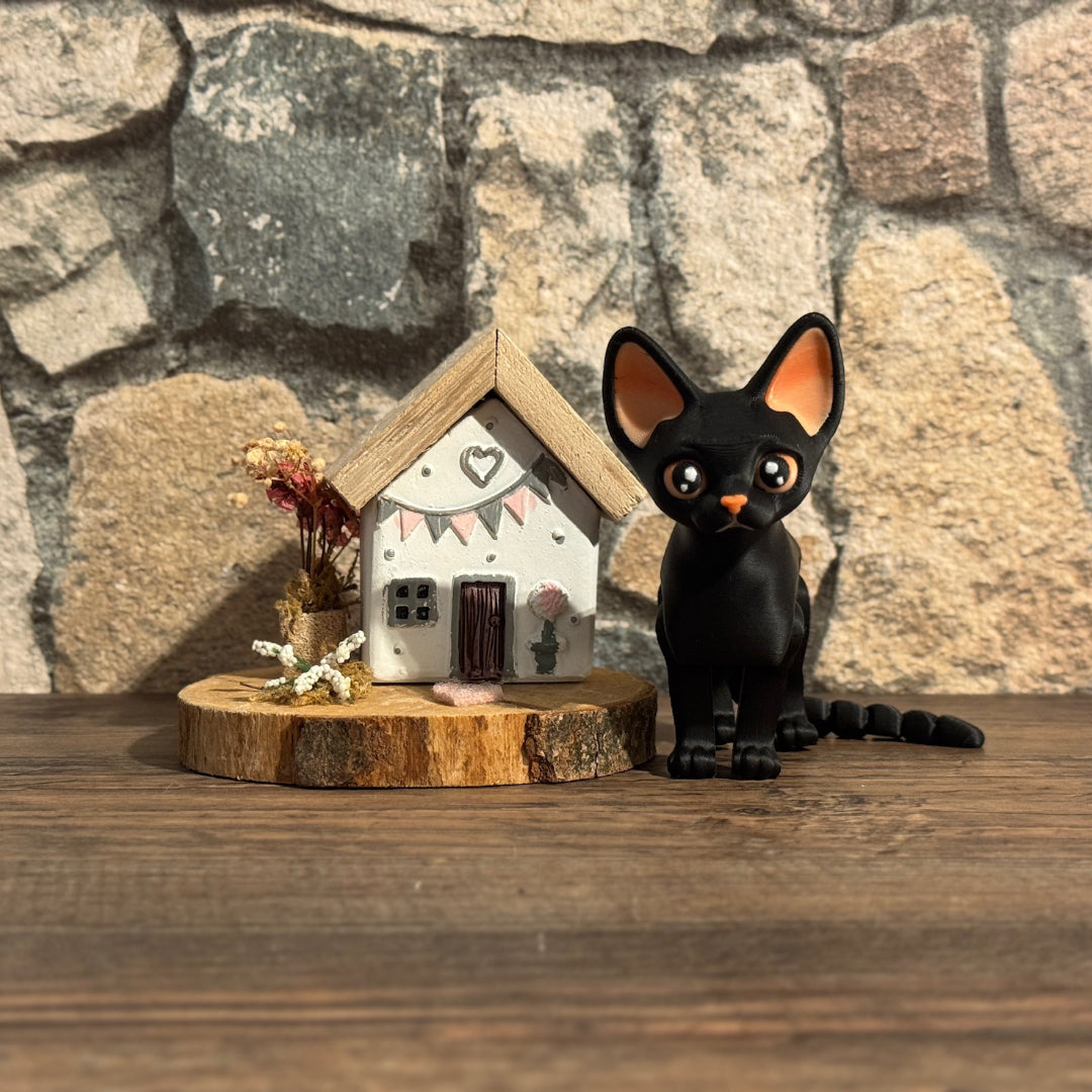 Kiki the Cat