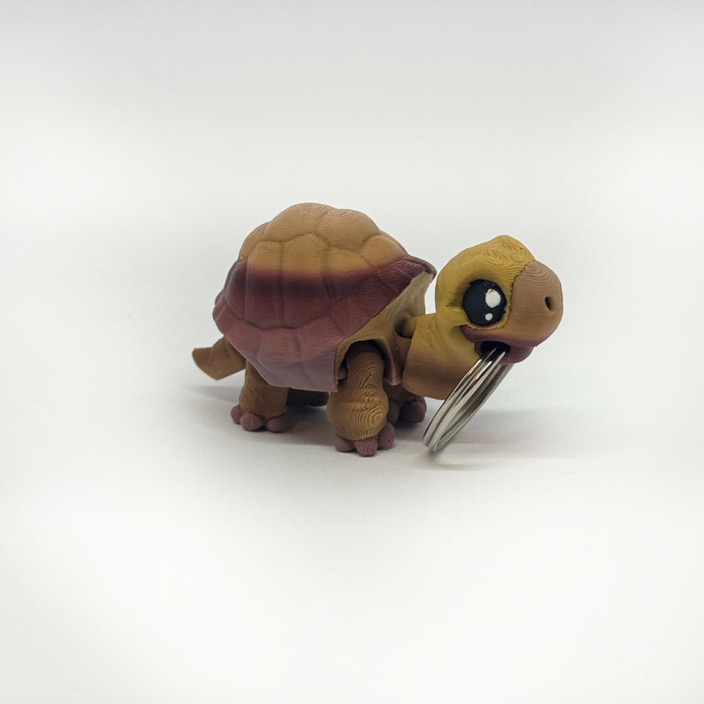 Kleine Schildkröte