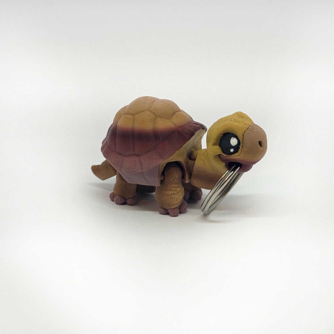Kleine Schildkröte