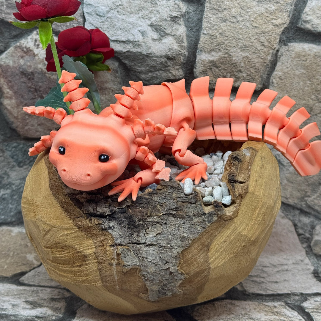 Axolotl