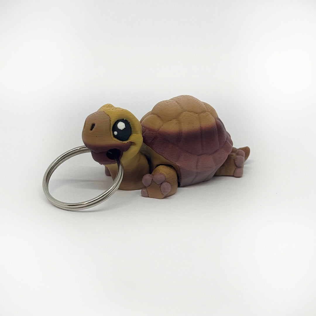 Kleine Schildkröte
