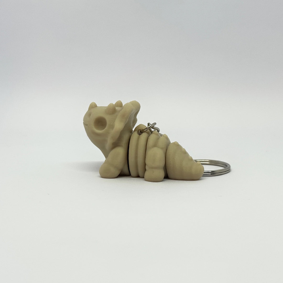 Baby Triceratops Skeleton