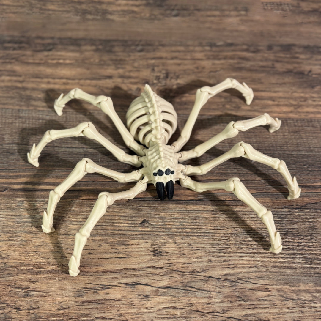 Skelett Spinne