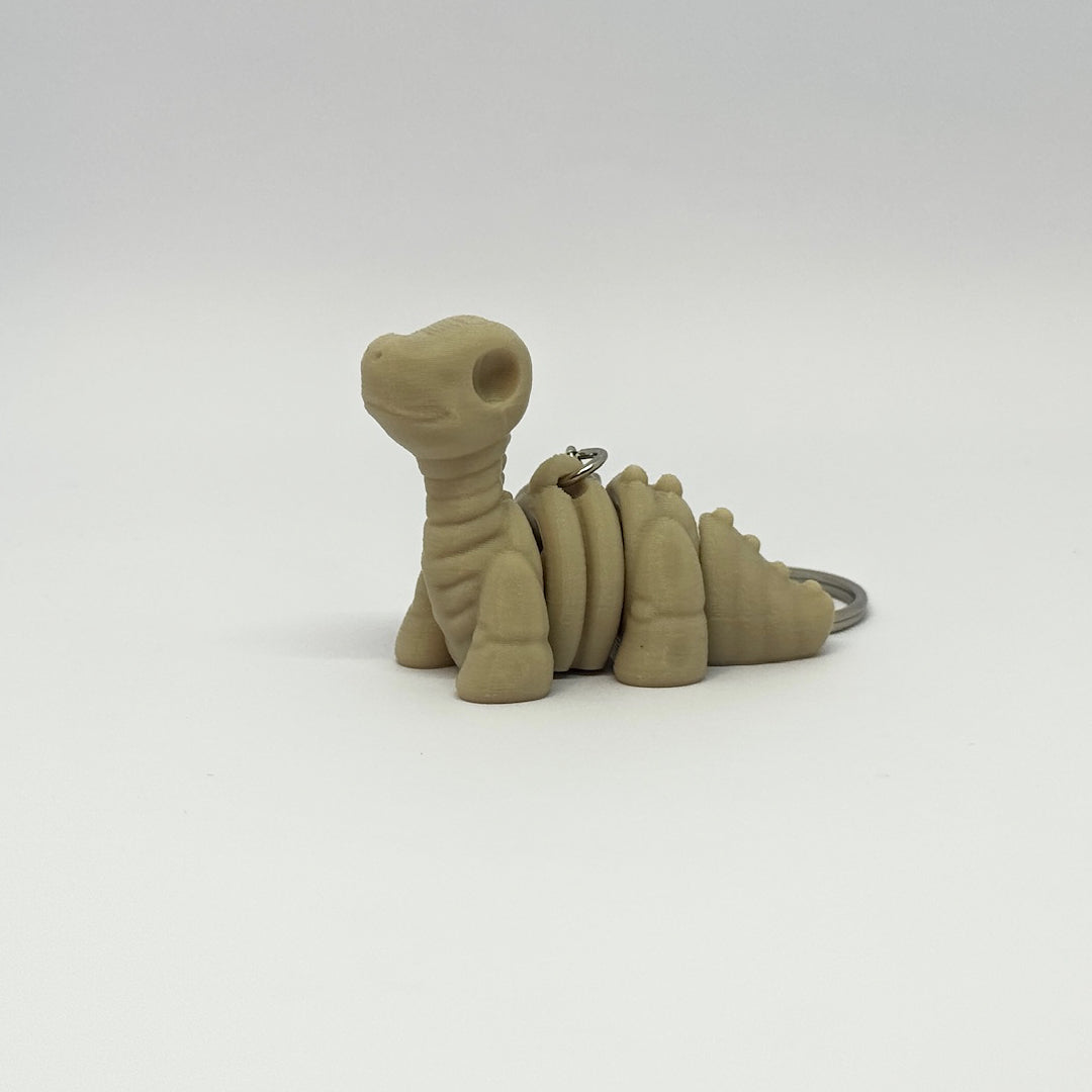 Baby Brontosaurus Skeleton