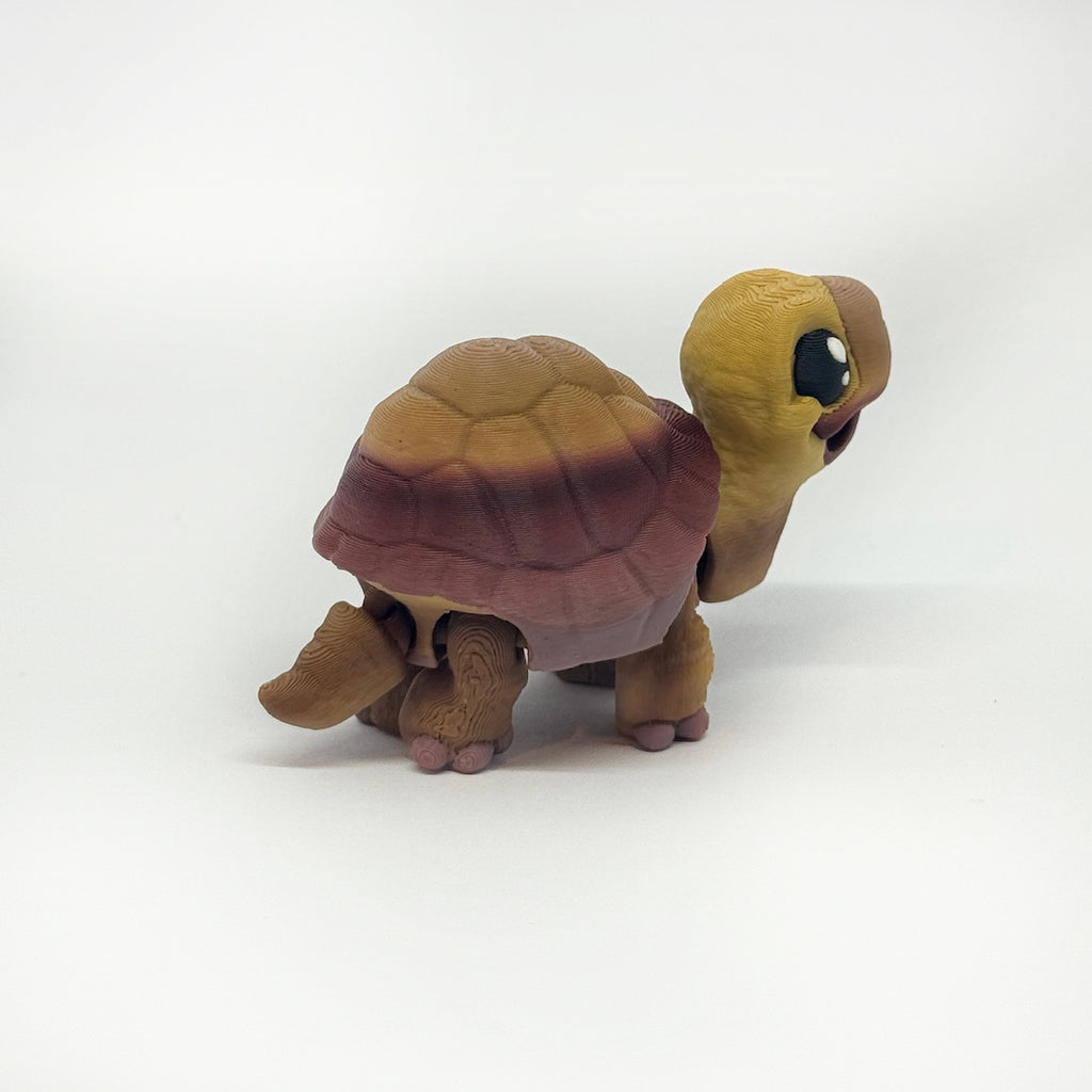 Kleine Schildkröte