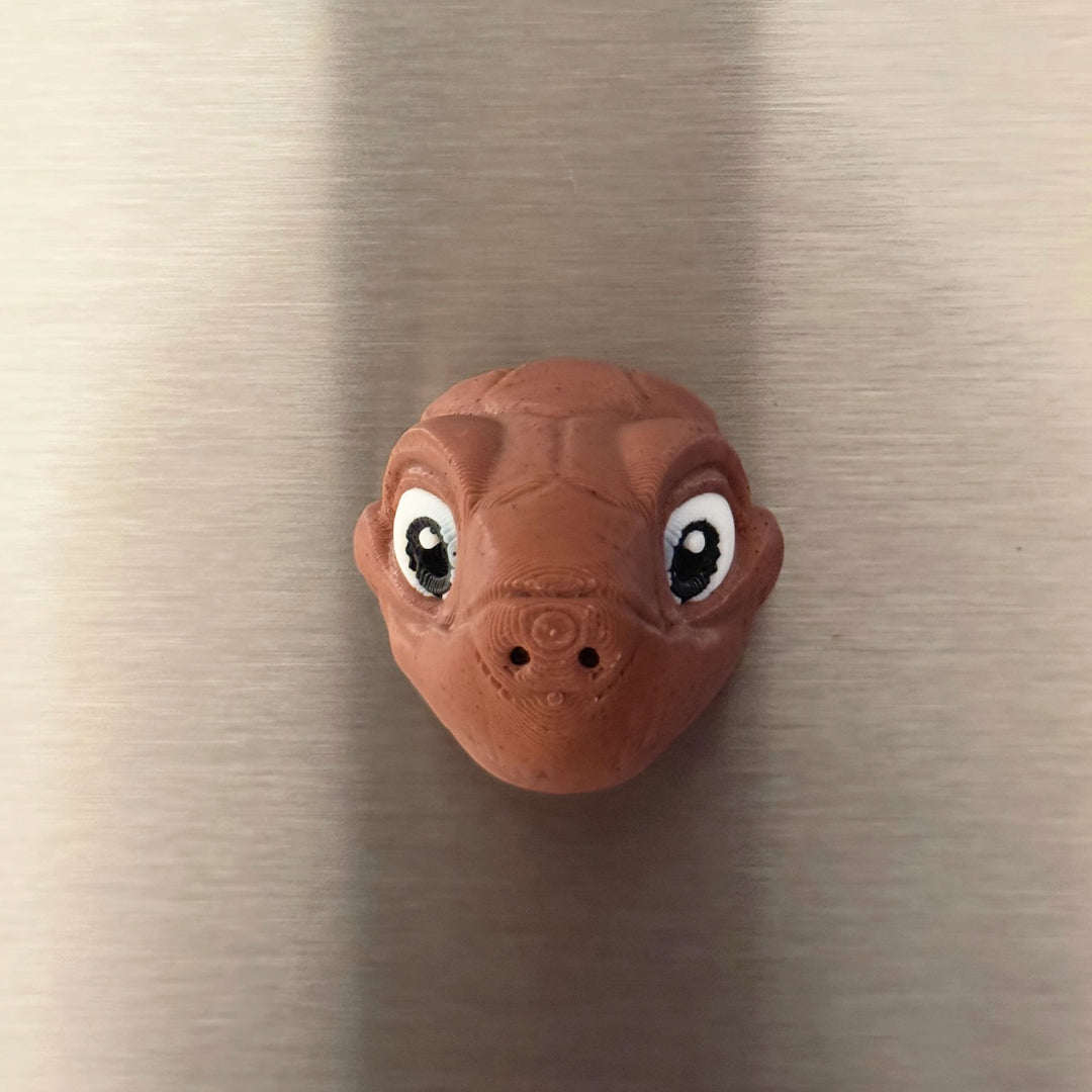 Schildkröten-Kopf