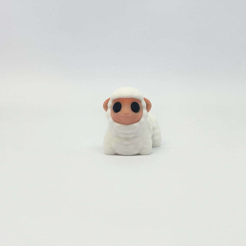 Baby Sheep - Niedliches Schäfchen