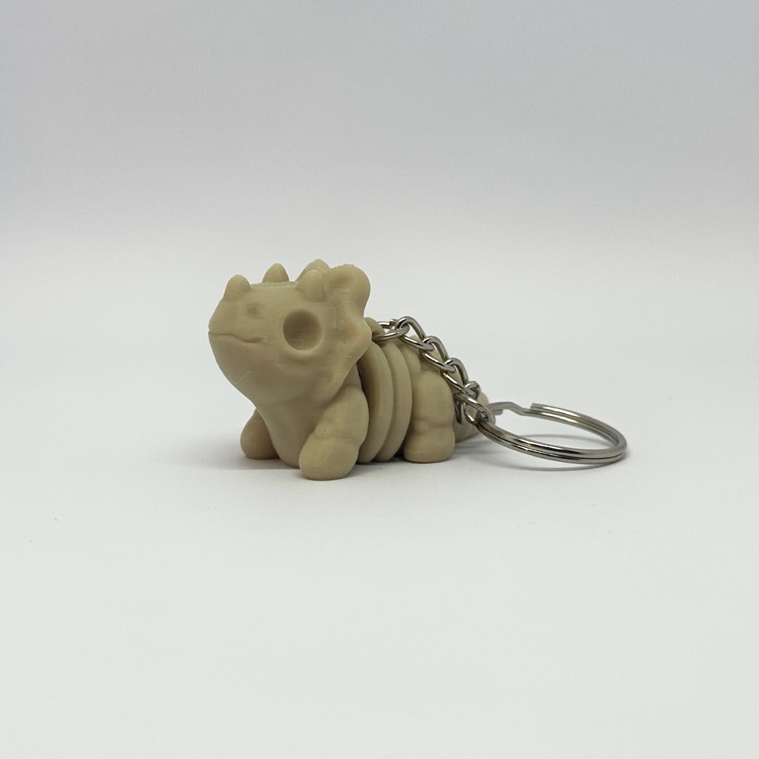 Baby Triceratops Skeleton